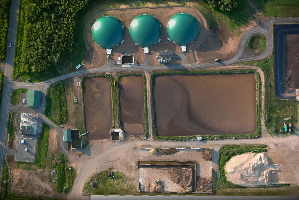 Clean Profit from Alternative Fuels