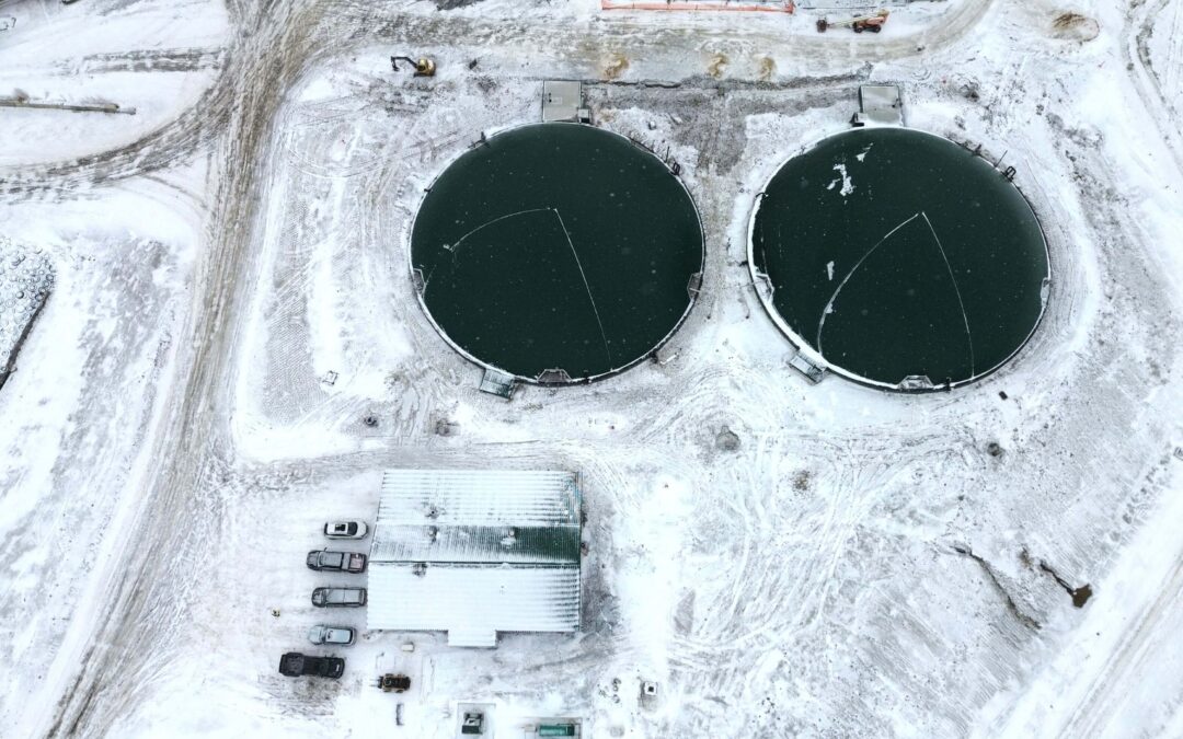 Mapleview Dairy