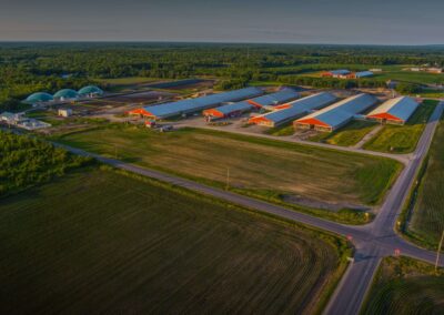 Stauffer Farms